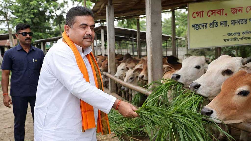 গো-মাংস ভক্ষণরত শুভেন্দু অধিকারীর ভিডিওর পাশাপাশি কৃত্রিম বুদ্ধিমত্তা ব্যবহার করে তৈরি গো-ভক্ত শুভেন্দু অধিকারীর ছবিও ছড়িয়ে পড়ছে বিভিন্ন মাধ্যমে।