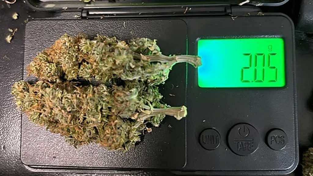 A kush trail is emerging through Bangladesh. But is the country a gateway, a market or both?