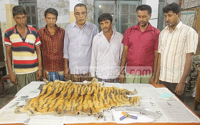 খুলনায় বাঘের চামড়াসহ গ্রেপ্তার ৬