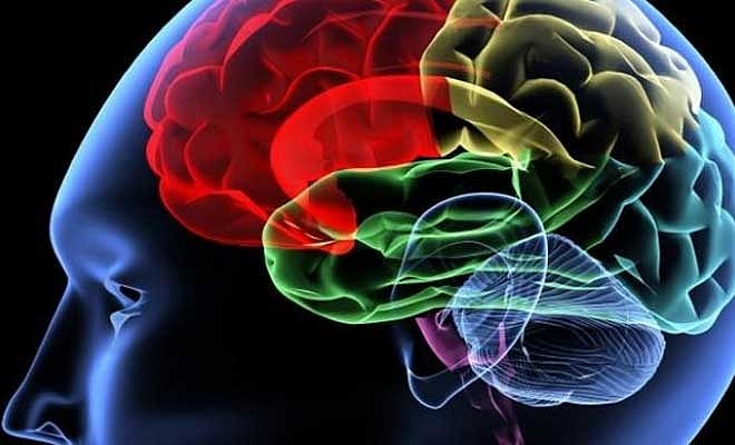 How brain encodes memory of time, place
