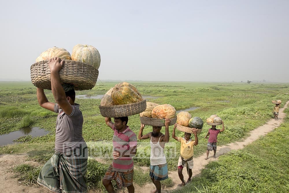 গ্রামে সাড়ে ১১ কোটি, শহরে ৫ কোটি