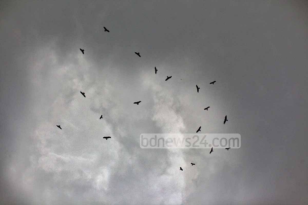 সিলেট অঞ্চলে বৃষ্টি হলেই বজ্রপাতের আতঙ্ক