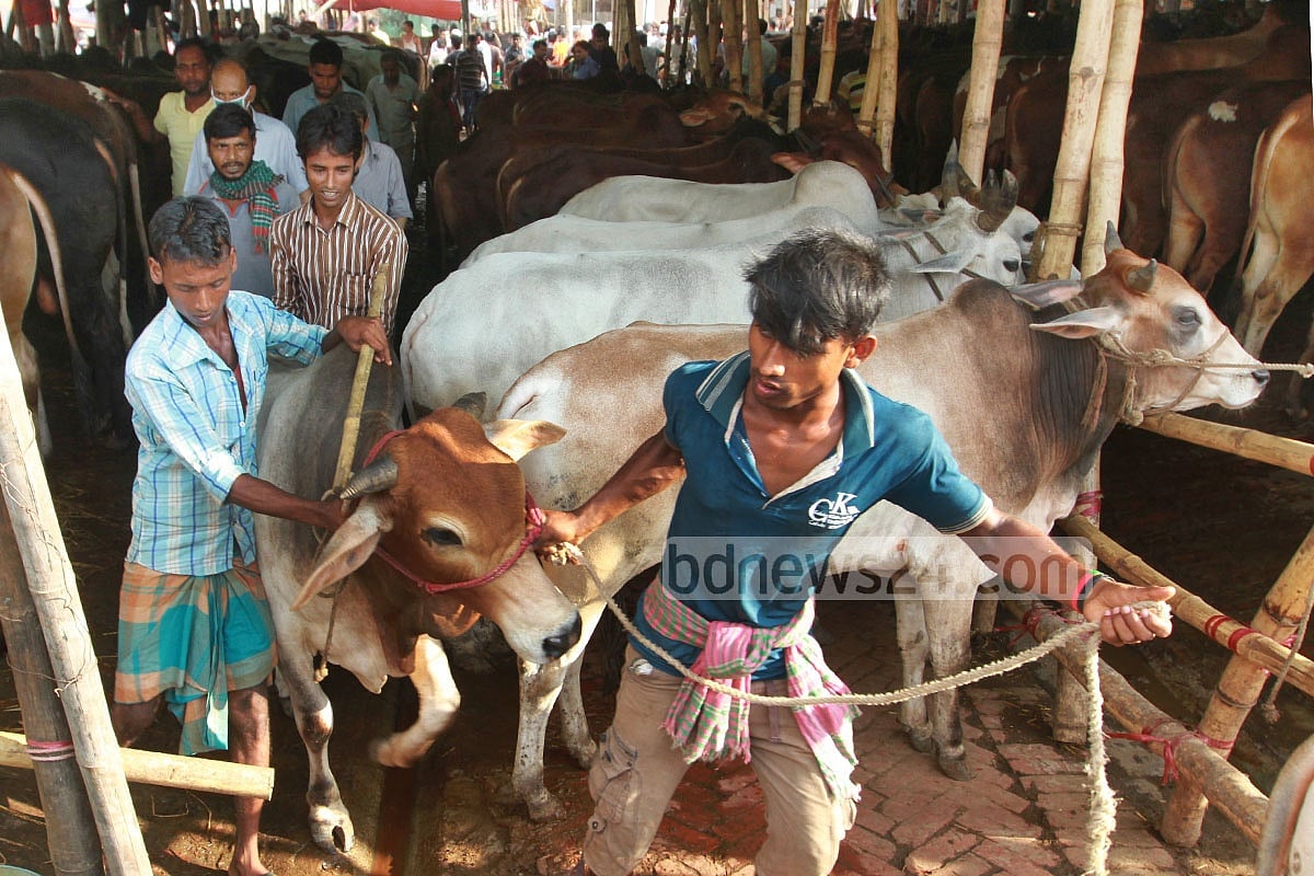 Top court upholds order halting Aftabnagar animal market
