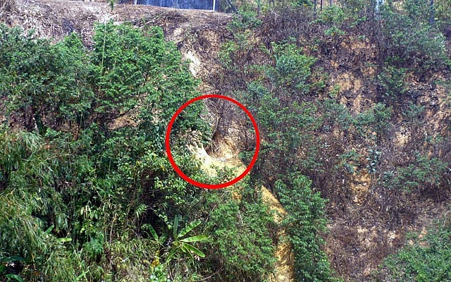 সীমান্তে সুড়ঙ্গের সন্ধান