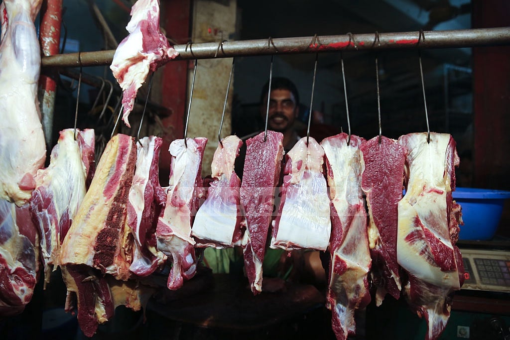 ফাইল ছবি 