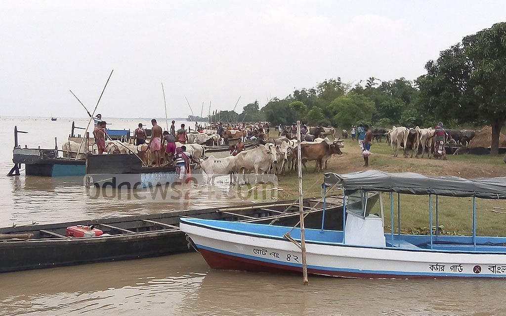২০১৪ সালে বাংলাদেশে গরু পাঠানোর ক্ষেত্রে ভারত কড়াকড়ি আরোপ করে। এরপর থেকেই বাড়তে থাকে দাম। 