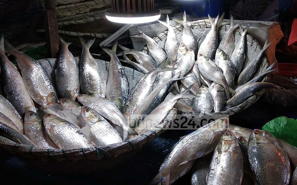58-day ban on fishing of hilsa, other fish: ministry