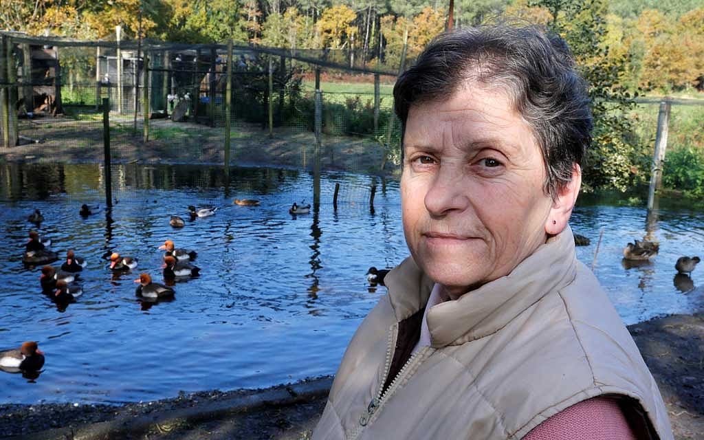 Dominique Douthe, whose neighbours took her to court over her ducks’ loud quacking, poses next to her ducks in Soustons, France, November 18, 2019. Reuters 