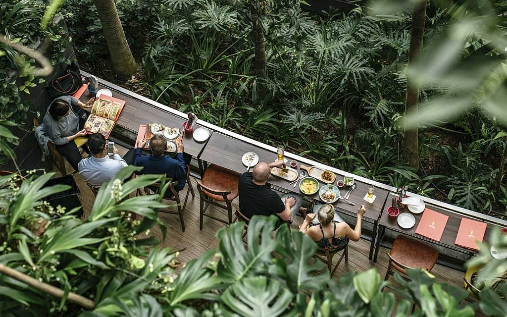 Dining in the Shiseido Forest Valley in the Jewel complex at Singapore Changi Airport, Nov. 6, 2019. With a soaring waterfall, forests, endless shops and restaurants, and even a sound-and-light show, a few hours’ layover in Changi Airport may not be enough time. (Lauryn Ishak/The New York Times) 