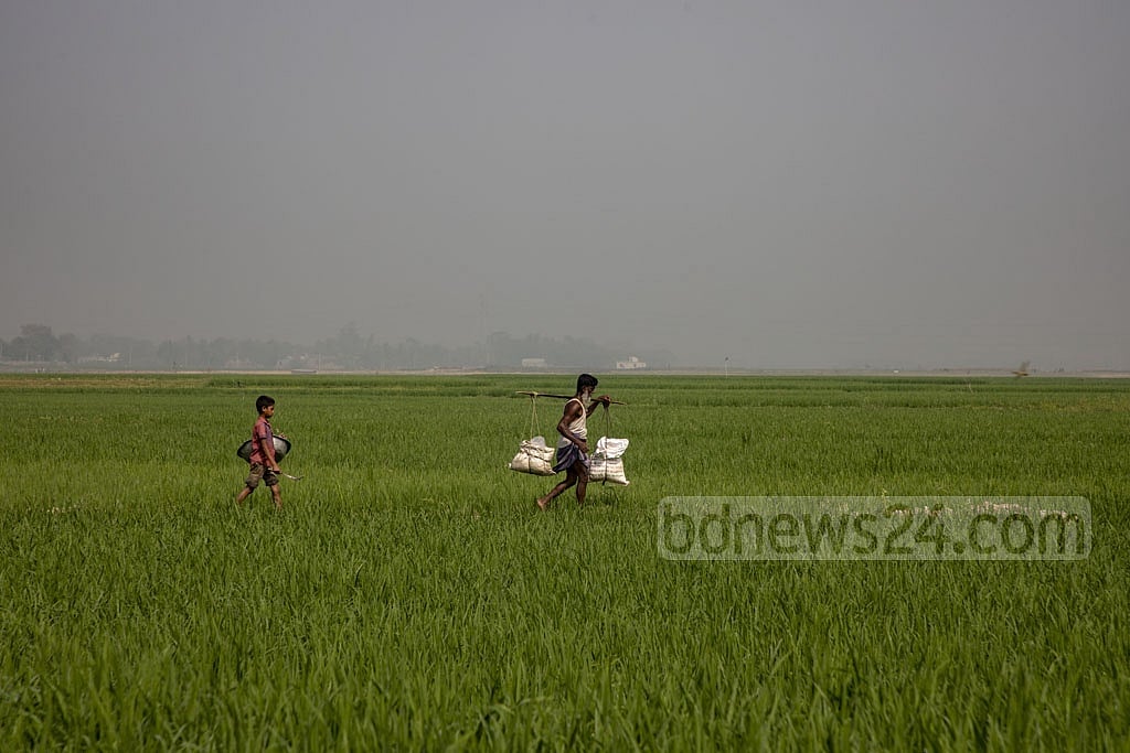 সব সারের দাম কেজিতে ৫ টাকা বাড়ল