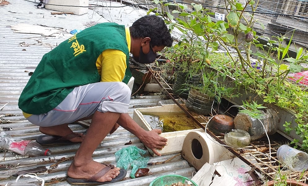 ছাদে  মশার লার্ভা খুঁজতে অভিযান।  