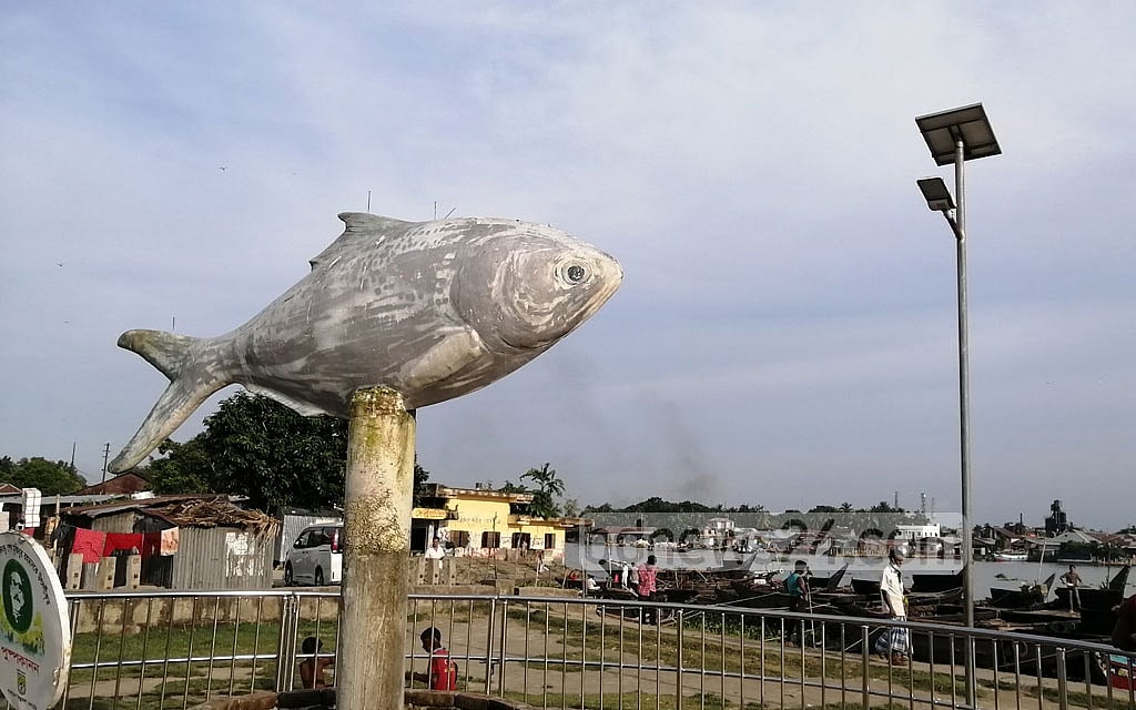 No approval for artificial hilsa farming: govt