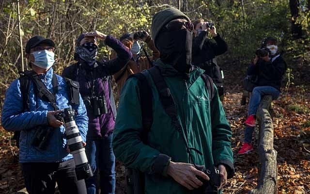 A group of bird watchers led by David Barrett, centre, look for the barred owl, known as Barry, in Central Park, on Nov 16, 2020. The New York Times 