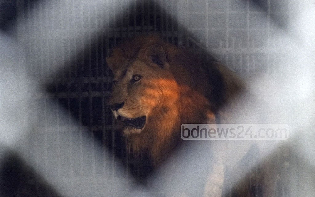 বাদশাহর আয়ুষ্কাল ফুরিয়ে এসেছে 