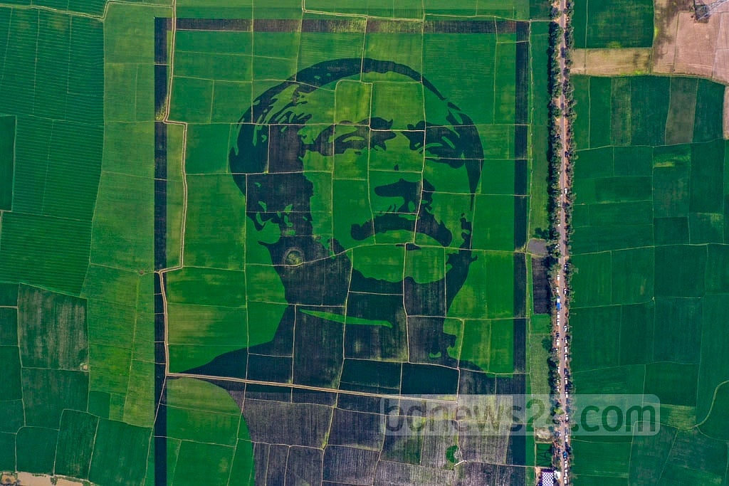 মুজিব শতবর্ষ উপলক্ষে ন্যাশনাল এগ্রিকেয়ার নামের একটি বেসরকারি প্রতিষ্ঠানের সহযোগিতায় এটি বাস্তবায়ন করেছে ‘শস্য চিত্রে জাতির পিতা বঙ্গবন্ধু জাতীয় পরিষদ’। মুজিব শতবর্ষ উপলক্ষে ন্যাশনাল এগ্রিকেয়ার নামের একটি বেসরকারি প্রতিষ্ঠানের সহযোগিতায় এটি বাস্তবায়ন করেছে ‘শস্য চিত্রে জাতির পিতা বঙ্গবন্ধু জাতীয় পরিষদ’।