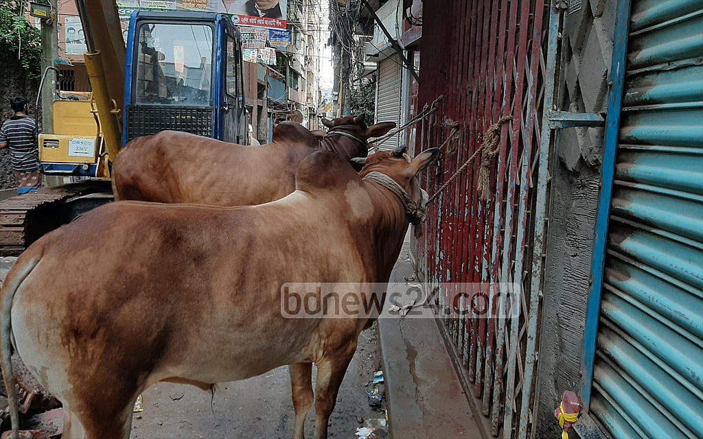 গরুর দামের ১৫ থেকে ২০ শতাংশ মাংস কাটার মজুরি হিসেবে নেন কসাইরা।