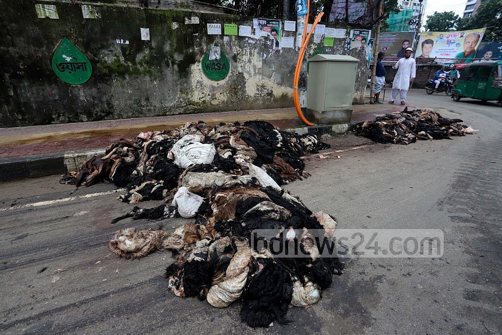 Jul 23, 2021: Seasonal traders left unsold rawhides of cattle sacrificed during Eid-ul-Azha to rot on a street in Old Dhaka’s Lalbagh. Photo: Asif Mahmud Ove Jul 23, 2021: Seasonal traders left unsold rawhides of cattle sacrificed during Eid-ul-Azha to rot on a street in Old Dhaka’s Lalbagh. Photo: Asif Mahmud Ove
