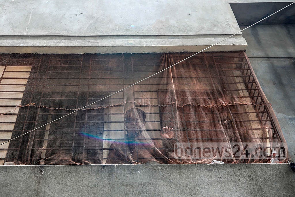 Aug 08, 2021: The mosquito-borne dengue infection has added to the suffering of Dhaka residents amid the coronavirus pandemic. A resident of Dhupkhola in Old Dhaka puts up a mosquito net in his veranda to protect himself from mosquitoes. Photo: Kazi Salahuddin Razu Aug 08, 2021: The mosquito-borne dengue infection has added to the suffering of Dhaka residents amid the coronavirus pandemic. A resident of Dhupkhola in Old Dhaka puts up a mosquito net in his veranda to protect himself from mosquitoes. Photo: Kazi Salahuddin Razu