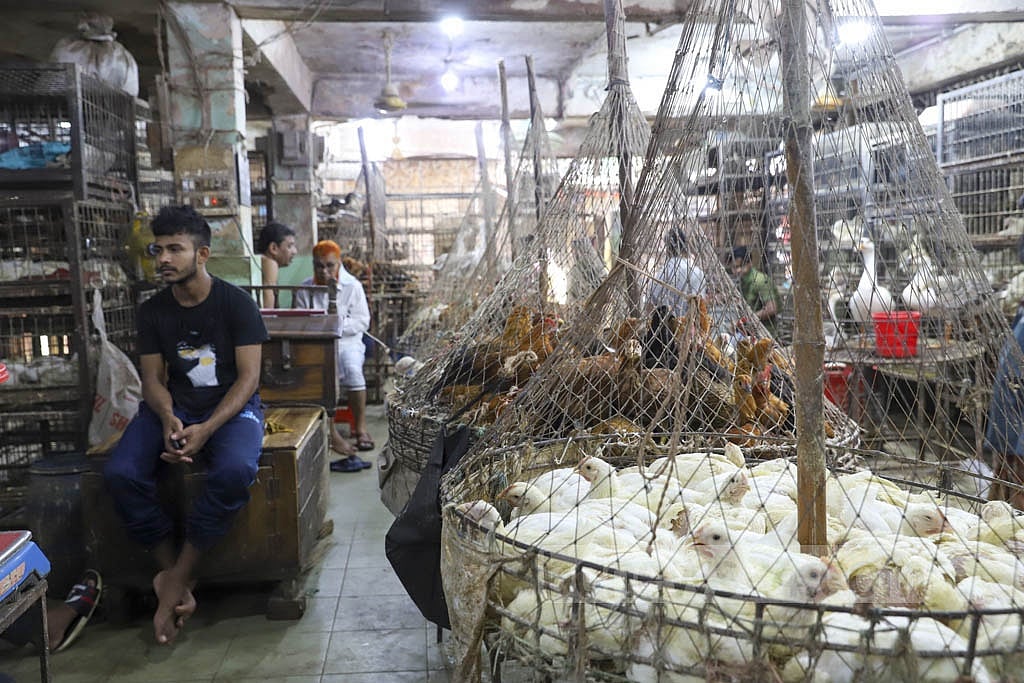 The prices of broiler chicken increased from around Tk 150 to Tk 260 per kg recently. Photo: Mahmud Zaman Ovi 