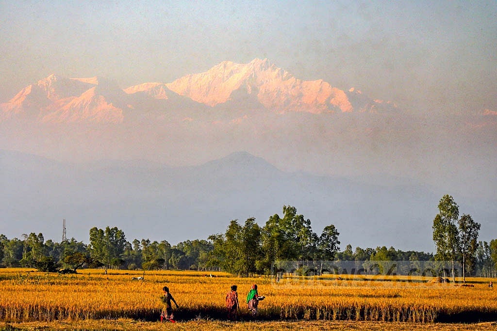 Mount Kanchenjunga appears magnificent before sunset. 