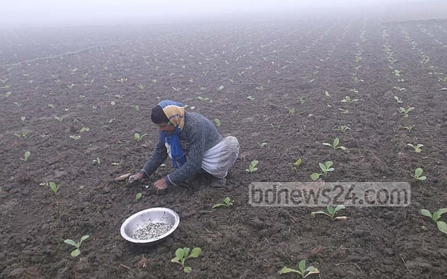 Winter to bow out with chill, thunder