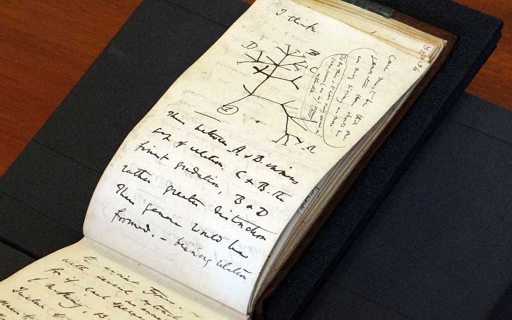 Stolen Darwin notebooks, missing for decades, are returned